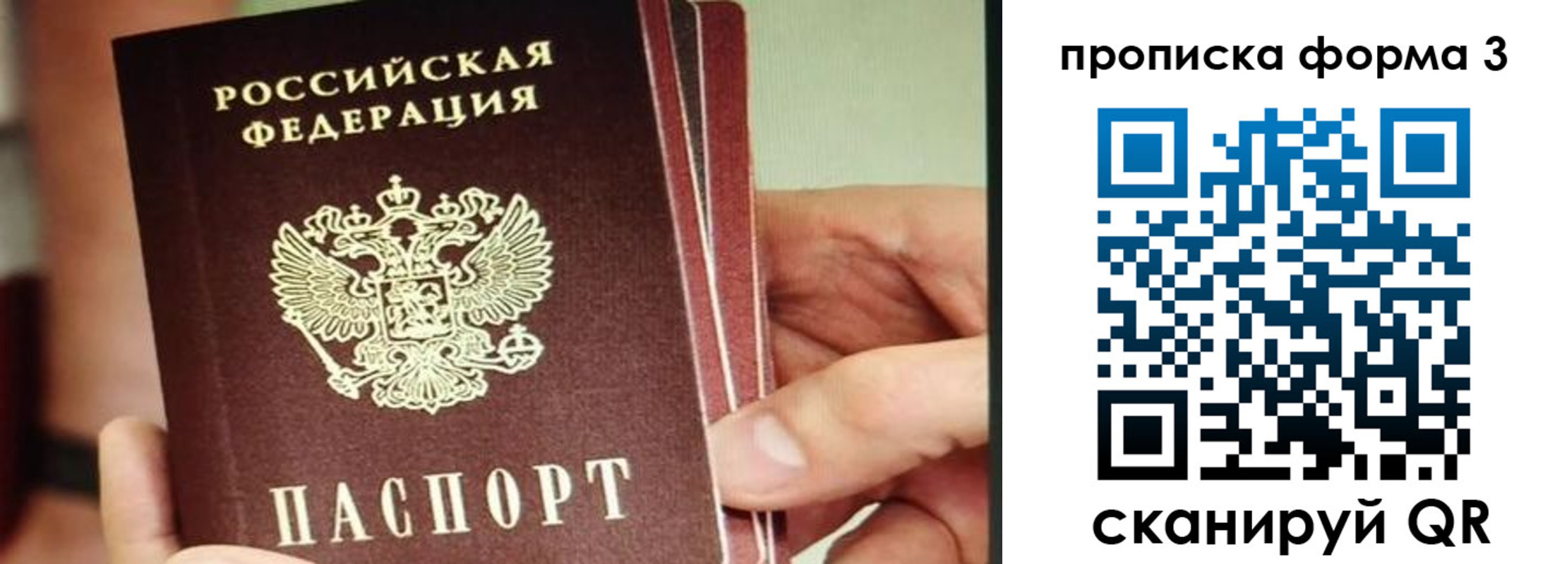 прописка законно в Сясьстрое